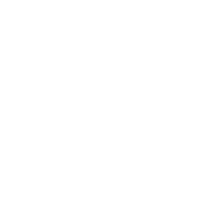 Pro100Vasya3000's emblem