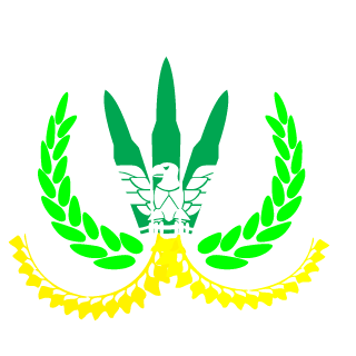 DimasEduardoo's emblem