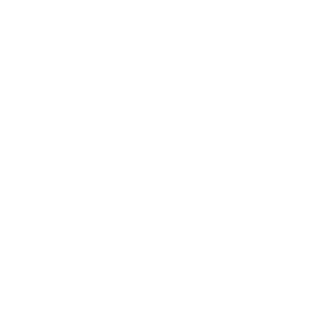 MSTR-RacerX's emblem