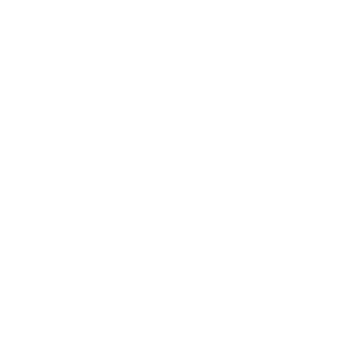 FlexPex's emblem