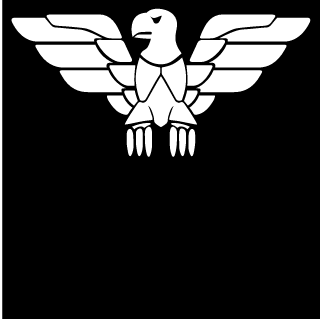 pumkin_ninja's emblem