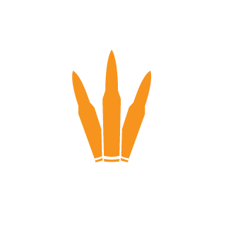 MasterSpaceLD's emblem