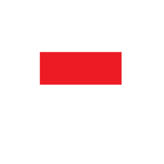 Belarus1142's emblem