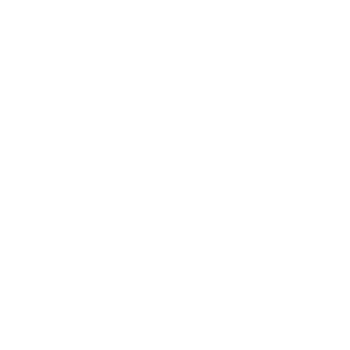 02ca901a287dc538's emblem