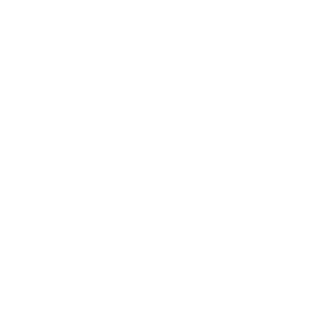 braandino8's emblem