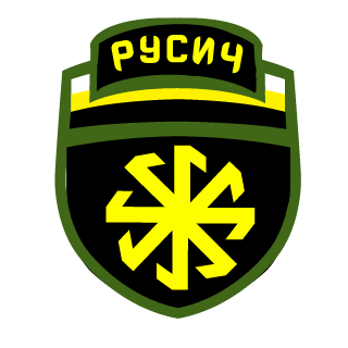 BashkirianNAZBOL's emblem