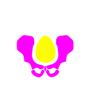 haukka3's emblem