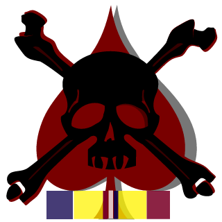 CombatVetOnlineGamers's emblem