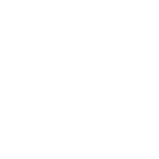 zIceBerg's emblem