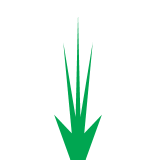 MIKE_THRASH's emblem