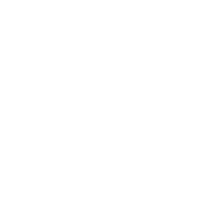 AlamAsherBR's emblem