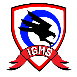 IGM RUS STARS's emblem