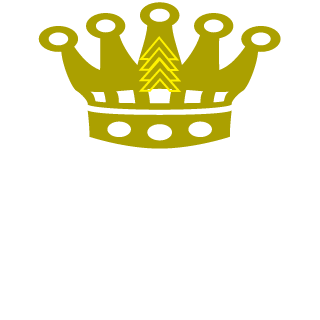 Saabisti1964's emblem
