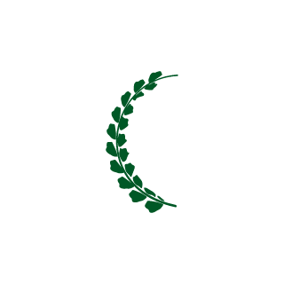 Dezue1's emblem