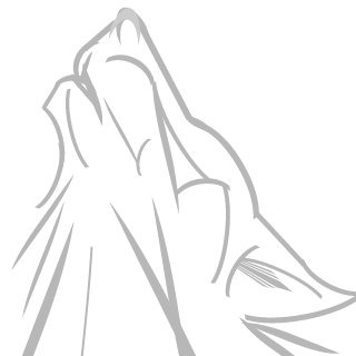 TEAM WOLF ORIGINE's emblem
