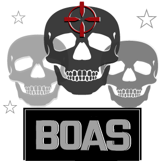 BOAS team BR's emblem