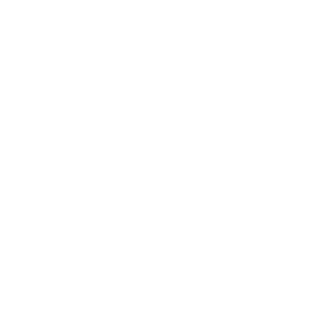 Pseudoboer777's emblem