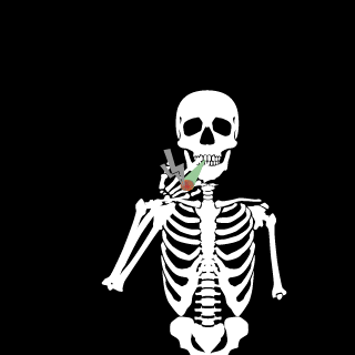 viffnerk's emblem
