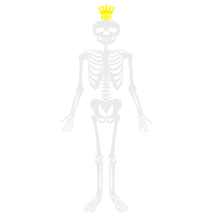 HaenesS's emblem