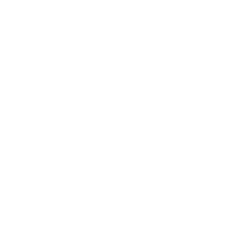 lhzao1994's emblem
