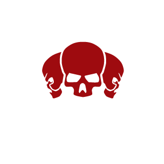 Mario_mestre_'s emblem