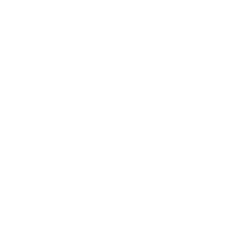 black309's emblem