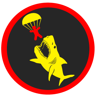 FreePlayerNG's emblem