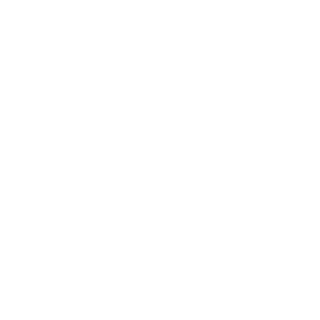 NecroAnarchy's emblem