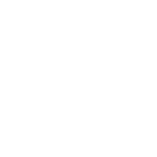 -AOF2-RockSolid's emblem