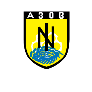 polaczeklesnypl's emblem