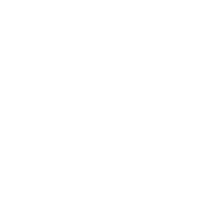 nekhaevn's emblem