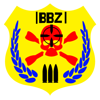 fireball141273's emblem