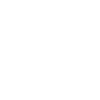 RamonesMCH's emblem
