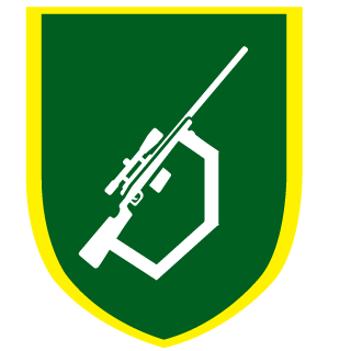 FVLASH's emblem