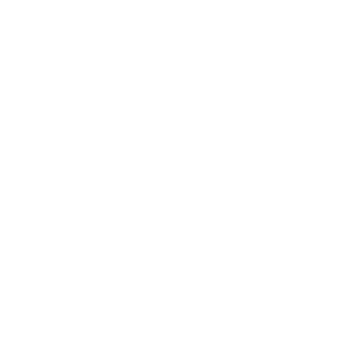 Vitaliy_96's emblem