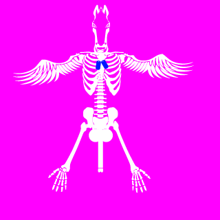 Lkkrsnoepen's emblem