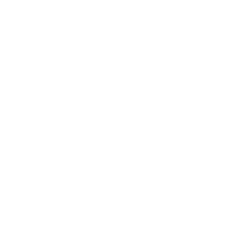 -p90-x-p90's emblem