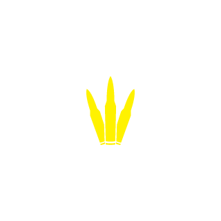 Tolkon's emblem