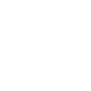 aegroNzy's emblem