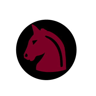 Flaz321's emblem