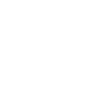 82_Scorpion's emblem