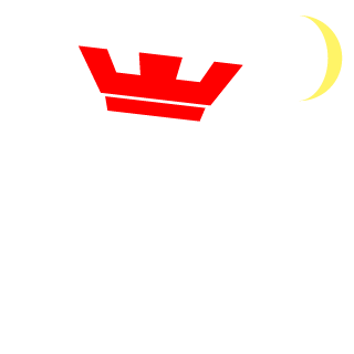 YTdIMASHOW's emblem