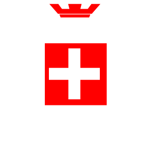 TheWildShock's emblem