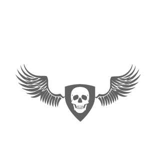 ACE-DSE's emblem