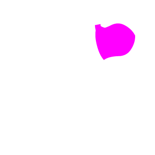 disruptivefart's emblem