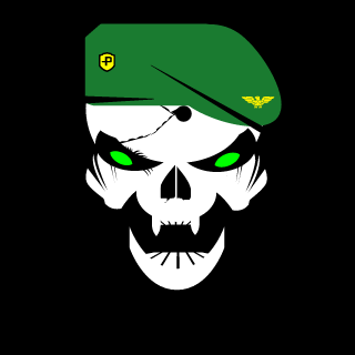 Noxitzz's emblem