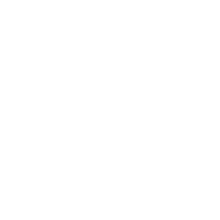 DPS_Pug's emblem