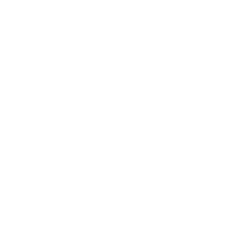 DICE_UBISOFT's emblem
