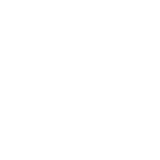 Neo6311's emblem