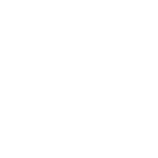 RiNFreeride's emblem